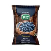 MIRTILO - SEMPRE VIVA - FRUTA CONGELADA 1 KG